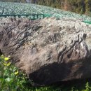 광령지석묘 3호 이미지