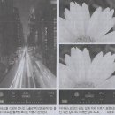 남컴퍼니 이미지