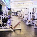 로데오랜드 이미지