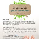 세제스토리