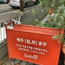 대전 반석동 칼국수 맛집으로 유명한 밥하기싫은날 후루룩손칼국수에서 혼밥한 후기