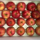 햇터농장 이미지