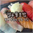 현대자동차하정점 | [십정동] 부평 동암역 초밥 맛집 '열우물초밥' 다녀온 후기