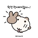 팔랑귀 | 팔랑귀 여성의 인스타 광고템 후기