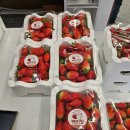 중하농장 이미지