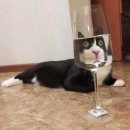 오디션 | 취준생의 배우 오디션 후기