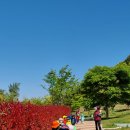 네이쳐 위클리 이미지