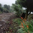 꽃순이농장 이미지