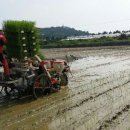 김종욱농장 이미지