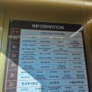 예은약국 | 김동글의 난임일기 #1 나팔관 조영술 자세한 후기 | 다낭성 난소 증후군 + 갑상선 기능 저하증 난임...