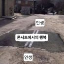 수능콘서트 - 십센치 | 두쫀쿠만큼 쫀득하고 밀도있는 일상 모음🫠🧆