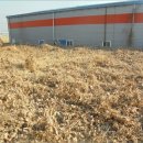 용머리축사 이미지