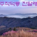 4월5-6 주작덕룡 진달래 영상앨범 이미지