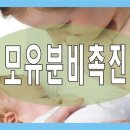 경화족발