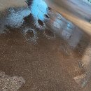 이리새집 이미지