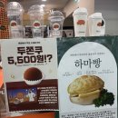 [내돈내산] 강남역 하마커피 솔직 후기｜재방문 후기 + 메뉴 추천