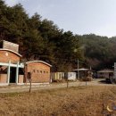 천연약수터 Daum카페