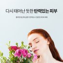 정화장품