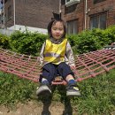 노해어린이공원 Daum카페