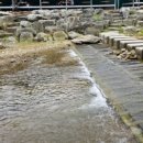 탑동길손 이미지