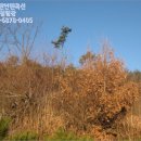 서신초제부분교장 이미지