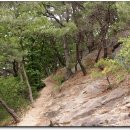 신석산 등산로 이미지