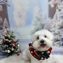 포레멍 | 겨울, 아이 피부를 위한 포레멍의 선택 — 로즈 &amp; 스네일 스파 이야기