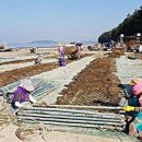 서부(죽산리) 이미지