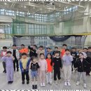 리얼태권도장 네이버블로그