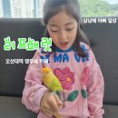뚜레쥬르오산대역점 | 오산앵무새카페 리프패럿 오산대역 아이와 가볼 만한 곳