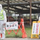 일대농장(2) 이미지