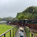 로드랜드빌리지 | 제주 비오는날 가볼만한곳, 40개월 아기와 에코랜드 후기