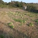 납읍초등학교 이미지