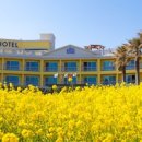 더메이관광호텔 이미지