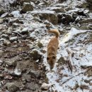 황호농장 이미지