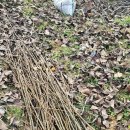 신내농장 이미지