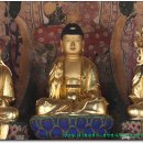 강진터미널 이미지