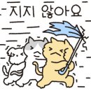 잡모아 - 평택시 중앙로 29 | 잡모아