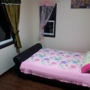 미루나무풍경 이미지