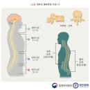 경희동서한의원 이미지