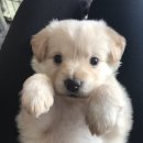 오픈컴퍼니