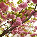 삼화빌라(입구) 이미지