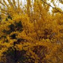 은대리 쉼나루 이미지