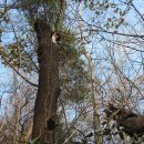 회원동126 이미지