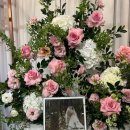 이리나스냅 | Wedding👰🏻‍♀️ | 보정본 받고 쓰는 제주 이리나스냅 촬영 후기❤️