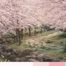 제주와봄 이미지