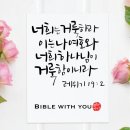 프로비디오 이미지