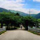 아산면사무소 이미지