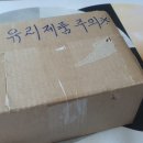 볼락낚시 녹색 LED집어등 가성비 연합써치 내돈내산 후기