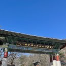 신흥사 | 📿 속초 신흥사 설날 방문 후기, 통일대불 보고 소원 빌기